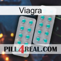 Viagra 29